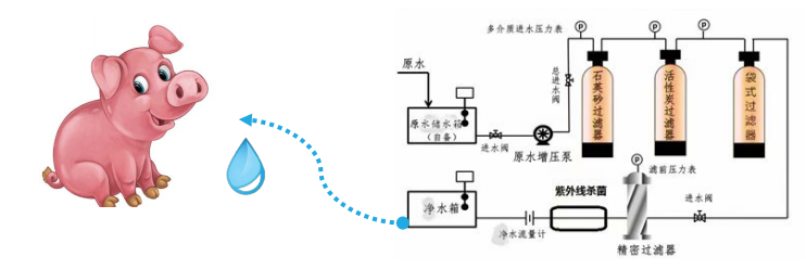 養豬場凈水設備,工藝流程